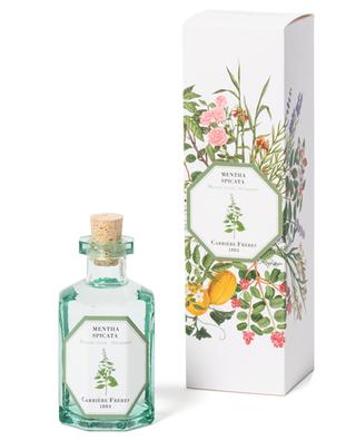 Mentha Spicata fragrance diffuser CARRIERE FRERES