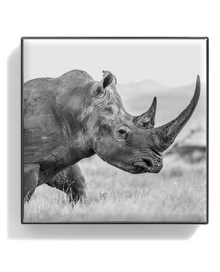 Lidschatten Luminescent Eye Shade - Rhinoceros CHANTECAILLE