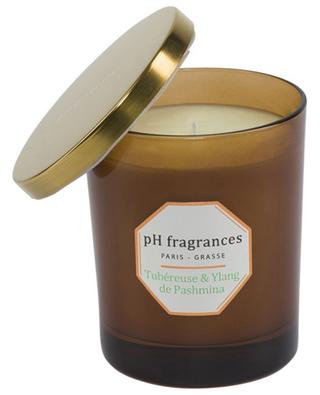 Tubéreuse & Ylang de Pashmina scented candle PH FRAGRANCES