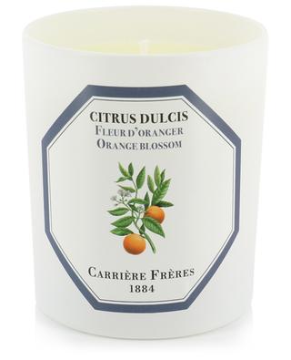 Bougie parfumée Citrus Dulcis Fleur d'Oranger - 185 g CARRIERE FRERES