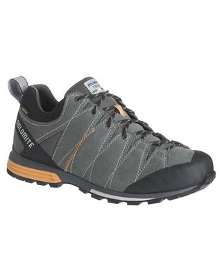 Herren-Trekking-Schuhe Diagonal Pro GTX DOLOMITE