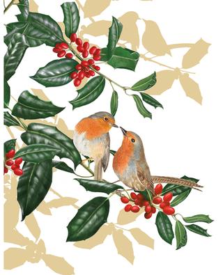 Set mit 16 Weihnachtskarten Robins CASPARI