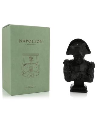 Buste de cire Napoléon TRUDON