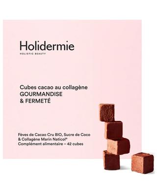 Cubes antioxydant au cacao HoliBeauty Food HOLIDERMIE