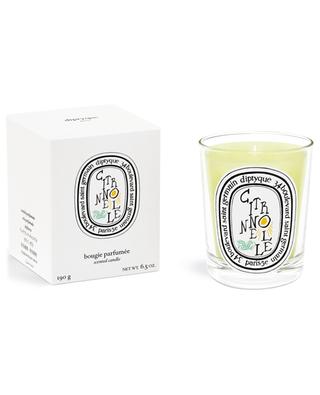 Citronelle scented candle - 190 g DIPTYQUE