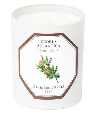 Bougie parfumée Cedrus Atlantica - 185 g CARRIERE FRERES