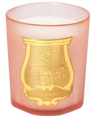 Tuileries scented candle - 2800 g TRUDON