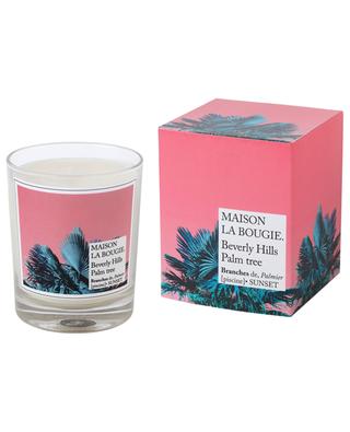 Classique Wallpaper Beverly Hills Palm Tree scented candle - 180 g MAISON LA BOUGIE