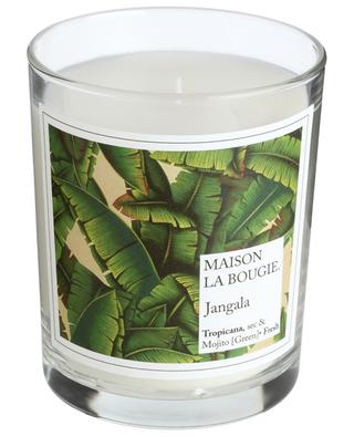 Classique Wallpaper Jangala scented candle - 180 g MAISON LA BOUGIE